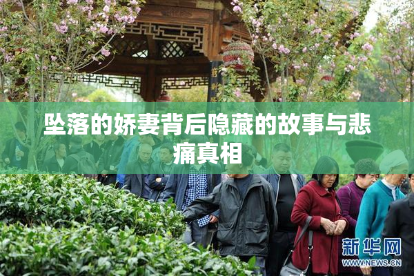 坠落的娇妻背后隐藏的故事与悲痛真相