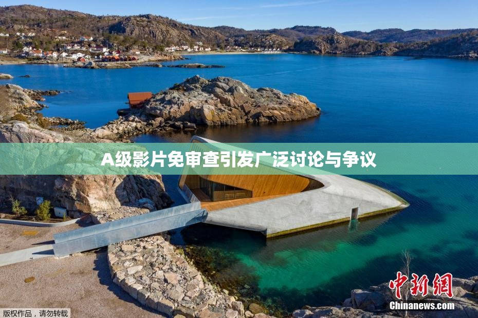 A级影片免审查引发广泛讨论与争议