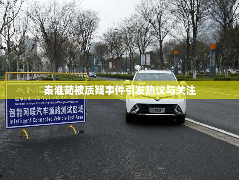 秦淮茹被质疑事件引发热议与关注