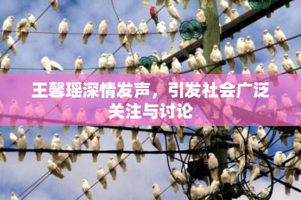 王馨瑶深情发声，引发社会广泛关注与讨论