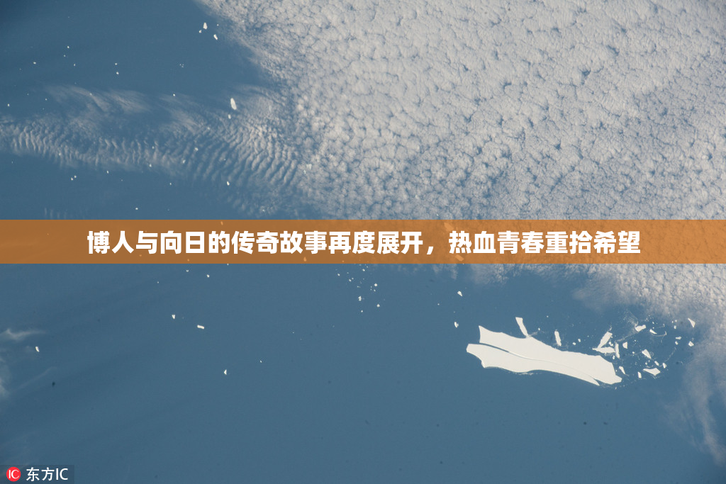 博人与向日的传奇故事再度展开，热血青春重拾希望