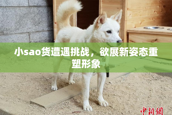 小sao货遭遇挑战，欲展新姿态重塑形象