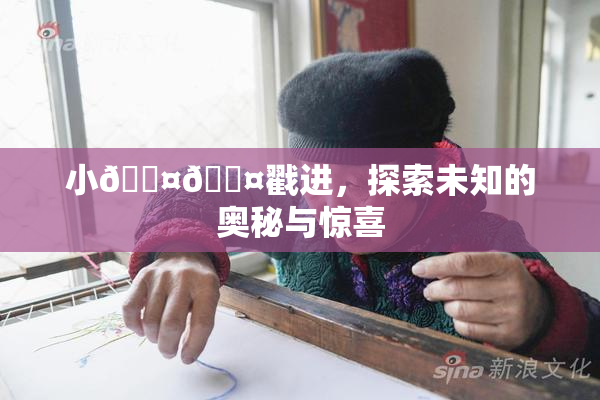 小🐤🐤戳进，探索未知的奥秘与惊喜