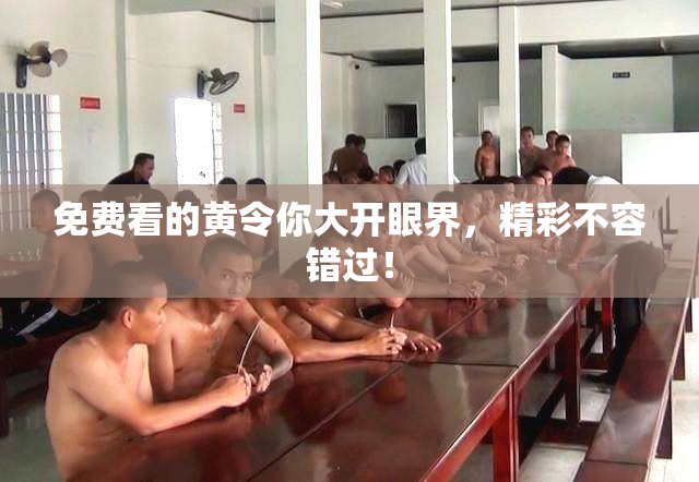 免费看的黄令你大开眼界，精彩不容错过！
