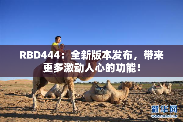 RBD444：全新版本发布，带来更多激动人心的功能！