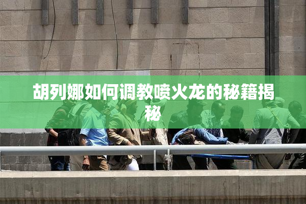 胡列娜如何调教喷火龙的秘籍揭秘