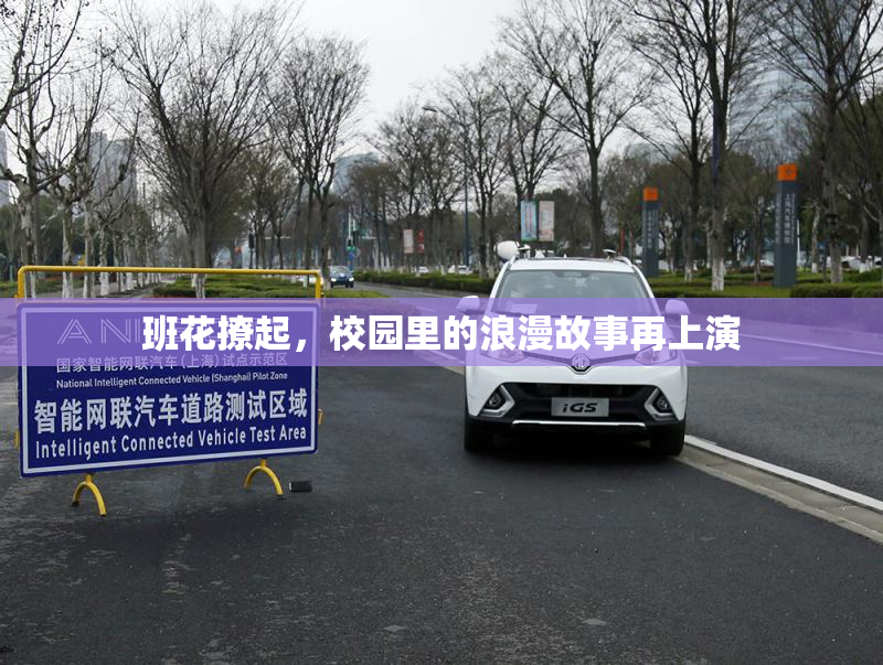 班花撩起，校园里的浪漫故事再上演