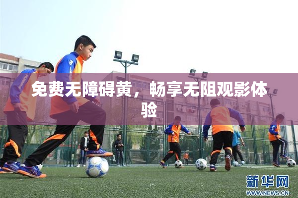 免费无障碍黄，畅享无阻观影体验
