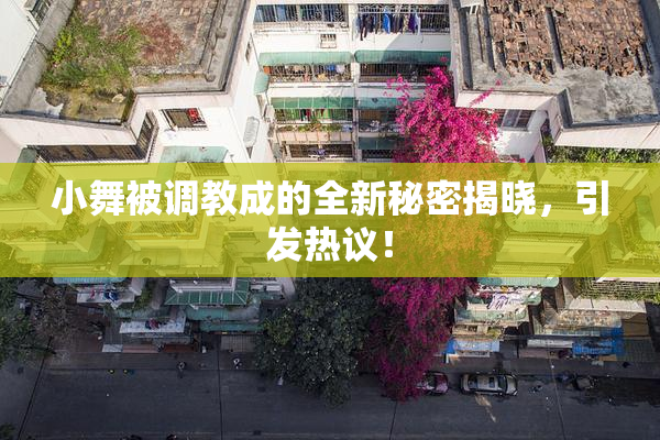 小舞被调教成的全新秘密揭晓，引发热议！