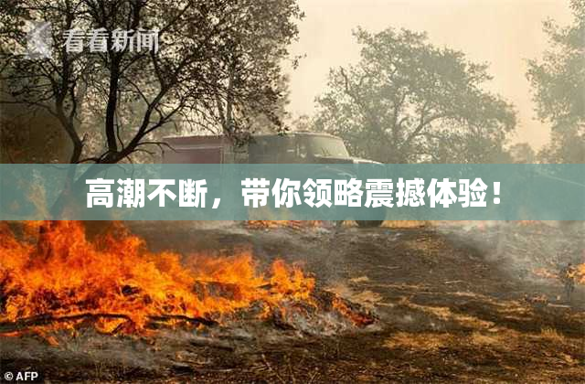 高潮不断，带你领略震撼体验！