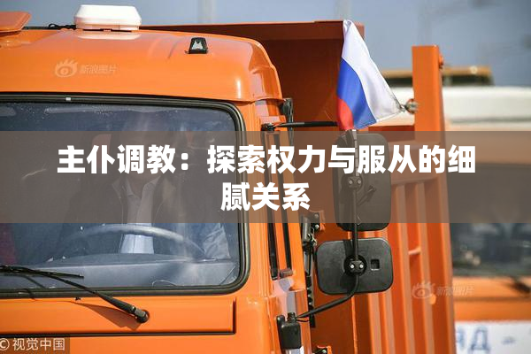 主仆调教：探索权力与服从的细腻关系
