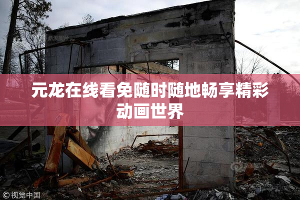 元龙在线看免随时随地畅享精彩动画世界
