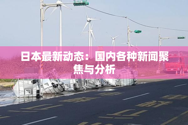 日本最新动态：国内各种新闻聚焦与分析
