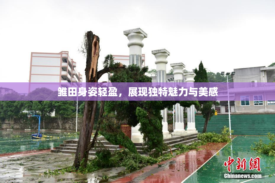 雏田身姿轻盈，展现独特魅力与美感