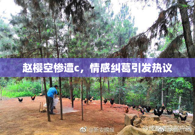 赵樱空惨遭c，情感纠葛引发热议