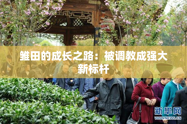 雏田的成长之路：被调教成强大新标杆