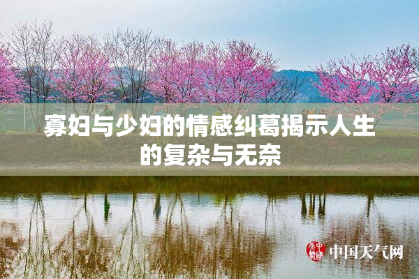 寡妇与少妇的情感纠葛揭示人生的复杂与无奈