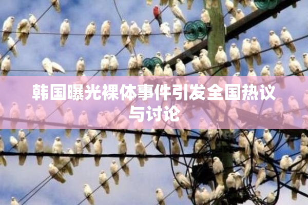 韩国曝光裸体事件引发全国热议与讨论