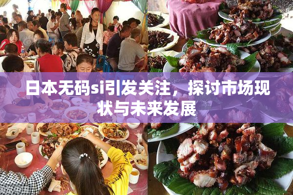 日本无码si引发关注，探讨市场现状与未来发展