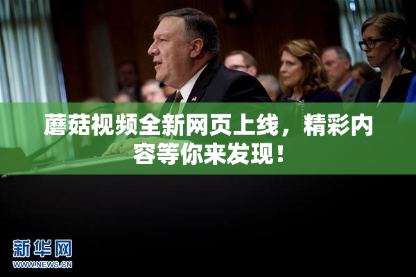 蘑菇视频全新网页上线，精彩内容等你来发现！