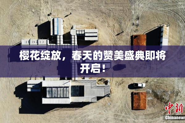 樱花绽放，春天的赞美盛典即将开启！