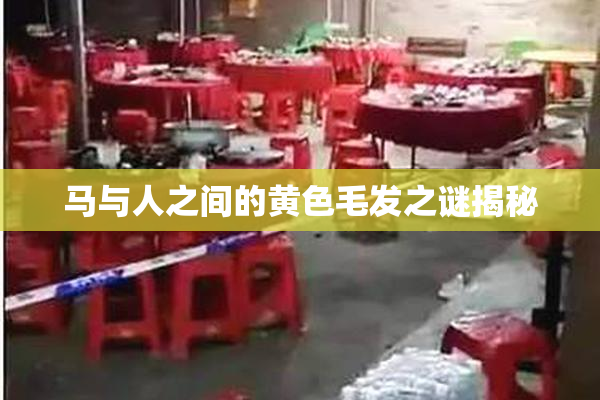 马与人之间的黄色毛发之谜揭秘