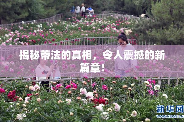揭秘蒂法的真相，令人震撼的新篇章！