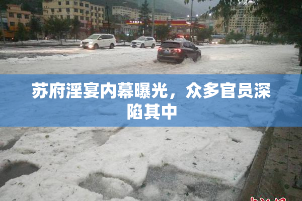 苏府淫宴内幕曝光，众多官员深陷其中