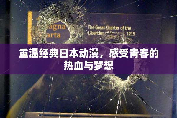 重温经典日本动漫，感受青春的热血与梦想