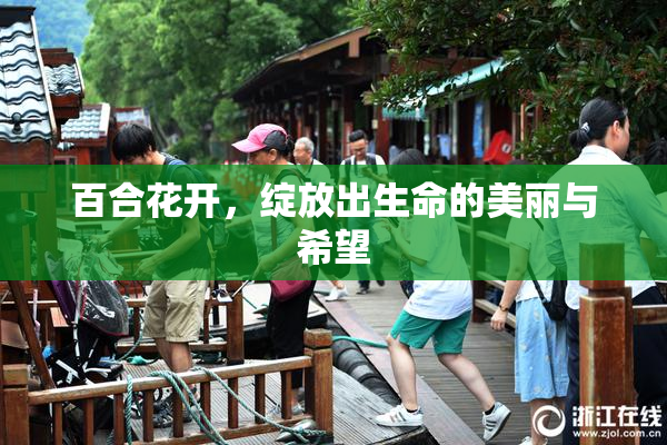 百合花开，绽放出生命的美丽与希望