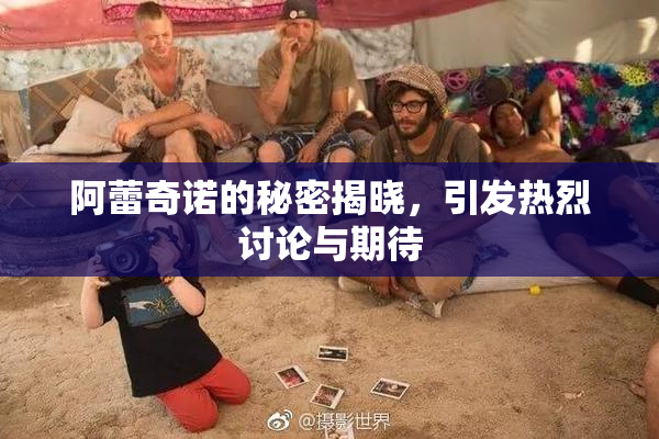 阿蕾奇诺的秘密揭晓，引发热烈讨论与期待