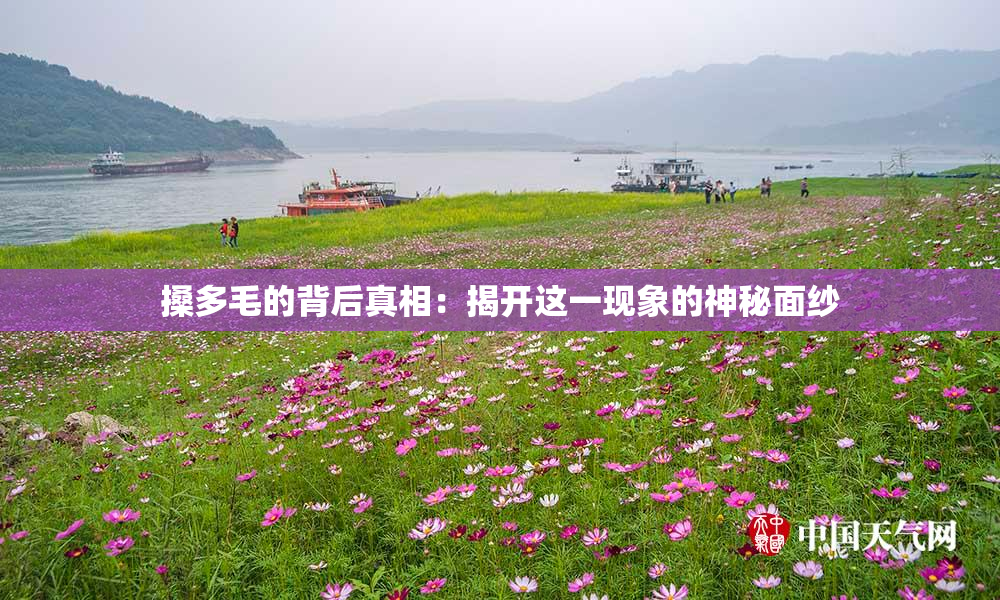 搡多毛的背后真相：揭开这一现象的神秘面纱