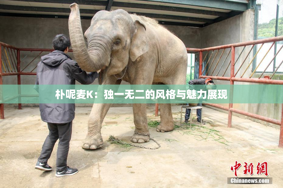 朴呢麦K：独一无二的风格与魅力展现