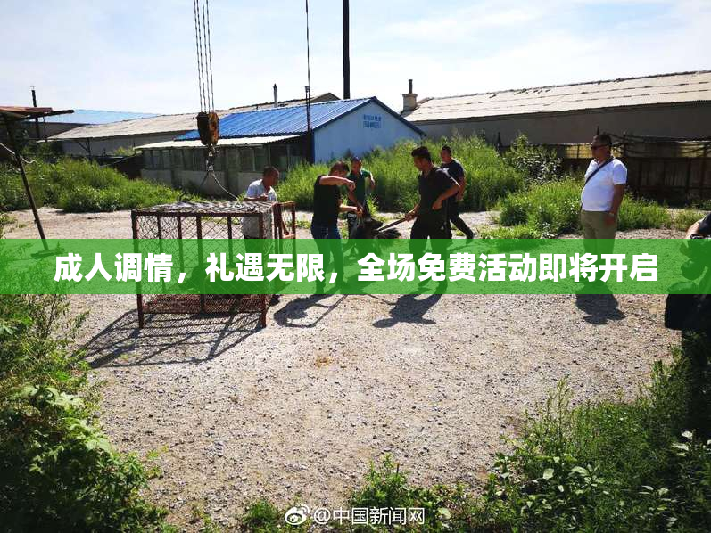成人调情，礼遇无限，全场免费活动即将开启