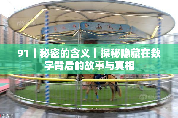 91丨秘密的含义丨探秘隐藏在数字背后的故事与真相