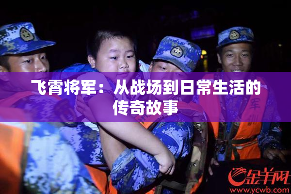 飞霄将军：从战场到日常生活的传奇故事