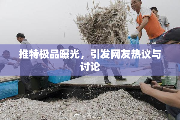 推特极品曝光，引发网友热议与讨论