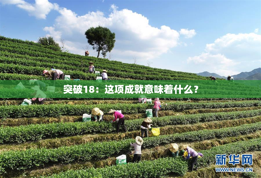 突破18：这项成就意味着什么？