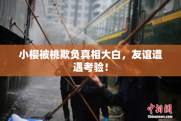 小樱被桃欺负真相大白，友谊遭遇考验！