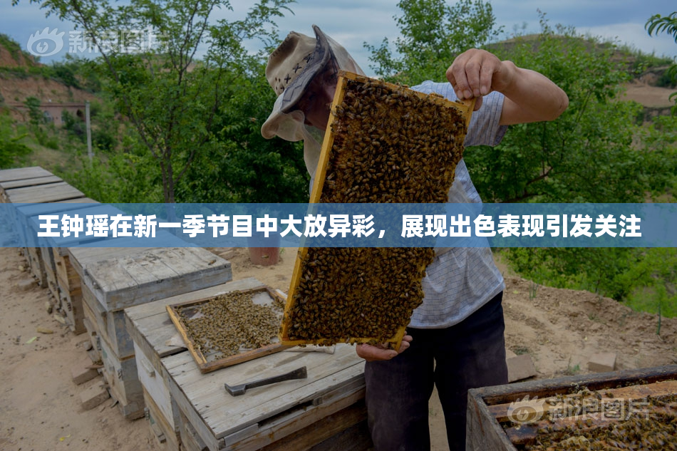 王钟瑶在新一季节目中大放异彩，展现出色表现引发关注