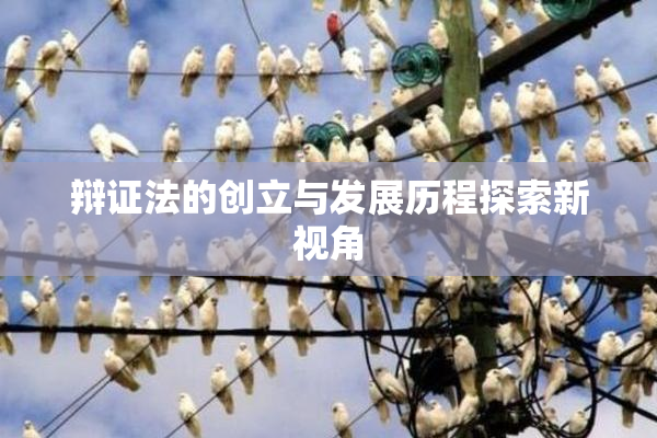 辩证法的创立与发展历程探索新视角