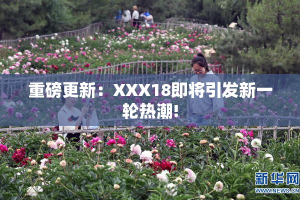重磅更新：XXX18即将引发新一轮热潮!