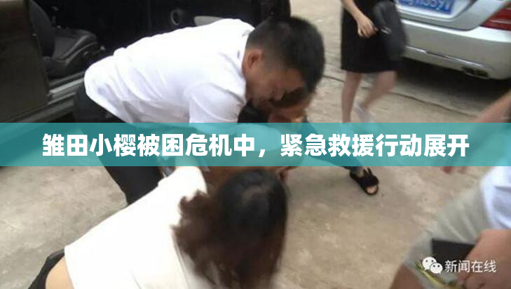 雏田小樱被困危机中，紧急救援行动展开