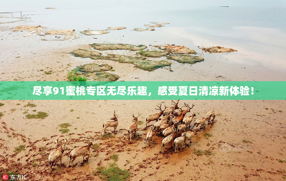 尽享91蜜桃专区无尽乐趣，感受夏日清凉新体验！