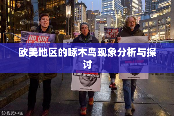欧美地区的啄木鸟现象分析与探讨