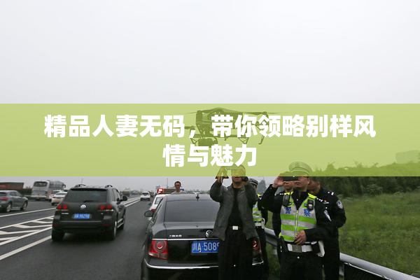 精品人妻无码，带你领略别样风情与魅力