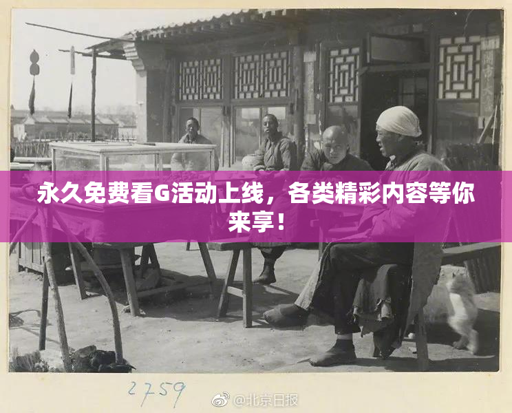 永久免费看G活动上线，各类精彩内容等你来享！