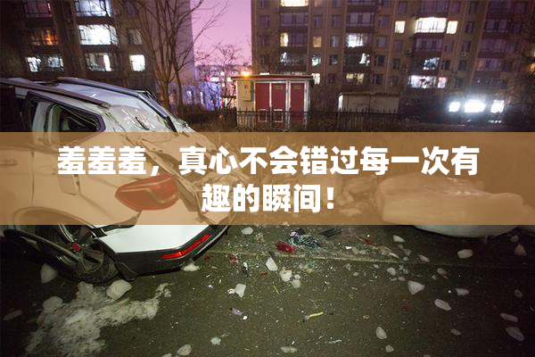 羞羞羞，真心不会错过每一次有趣的瞬间！