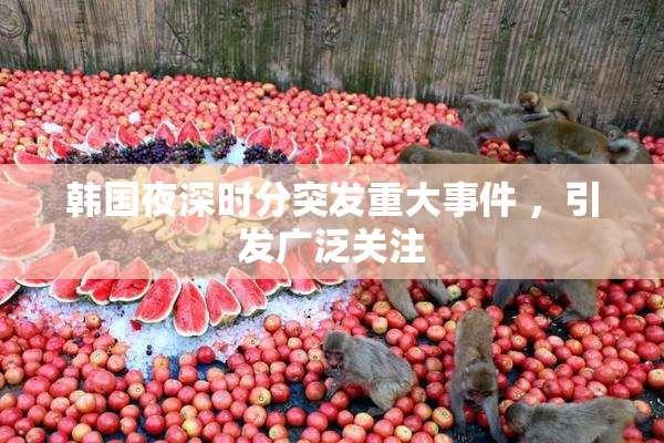 韩国夜深时分突发重大事件 ，引发广泛关注
