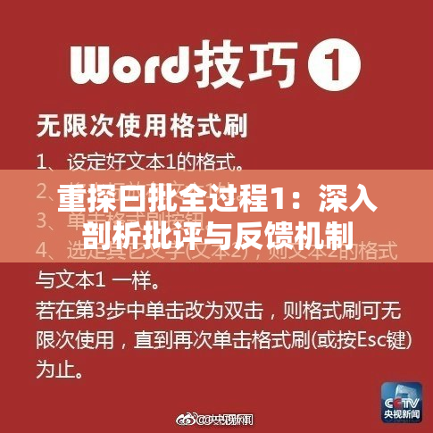 重探曰批全过程1：深入剖析批评与反馈机制